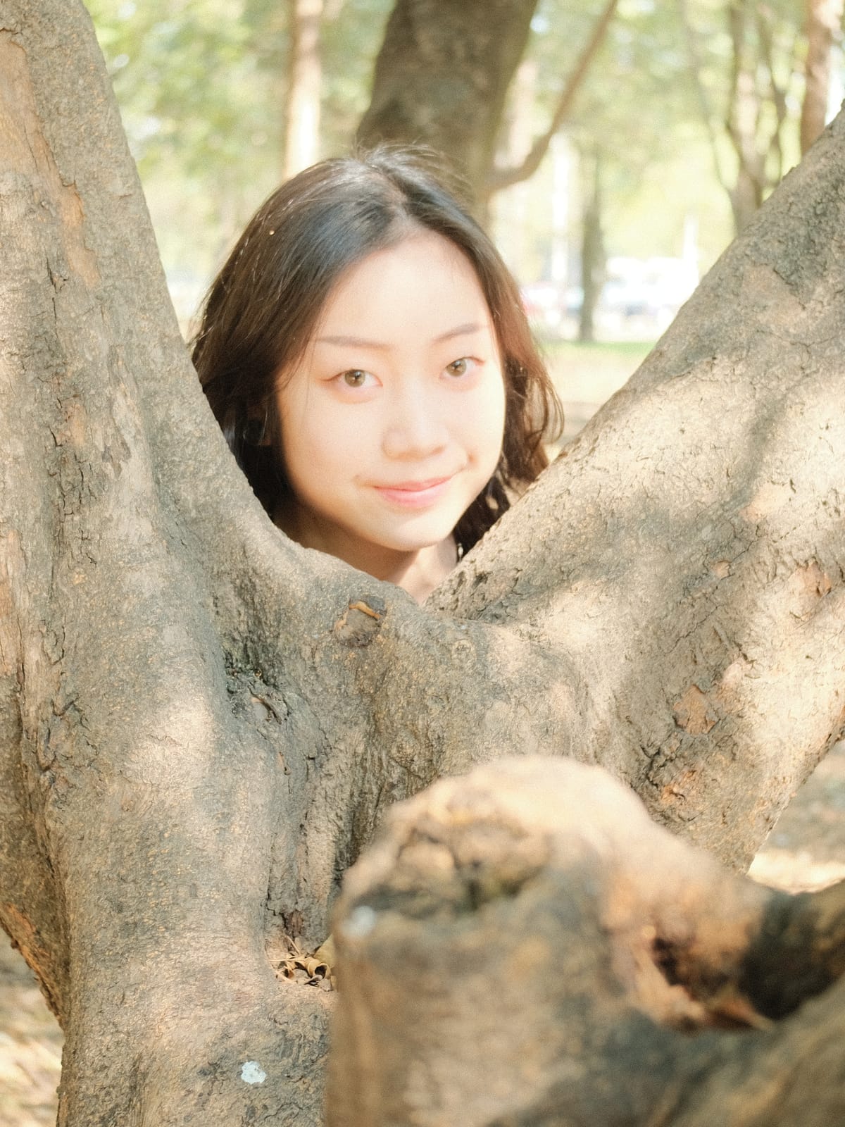 Xinran Li