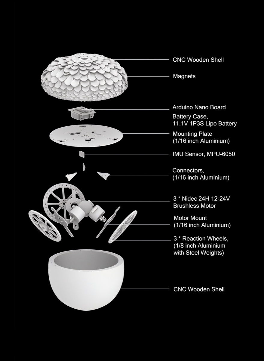 SEED gallery image 2