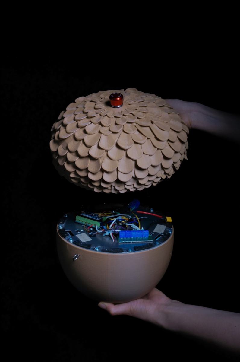 SEED gallery image 1