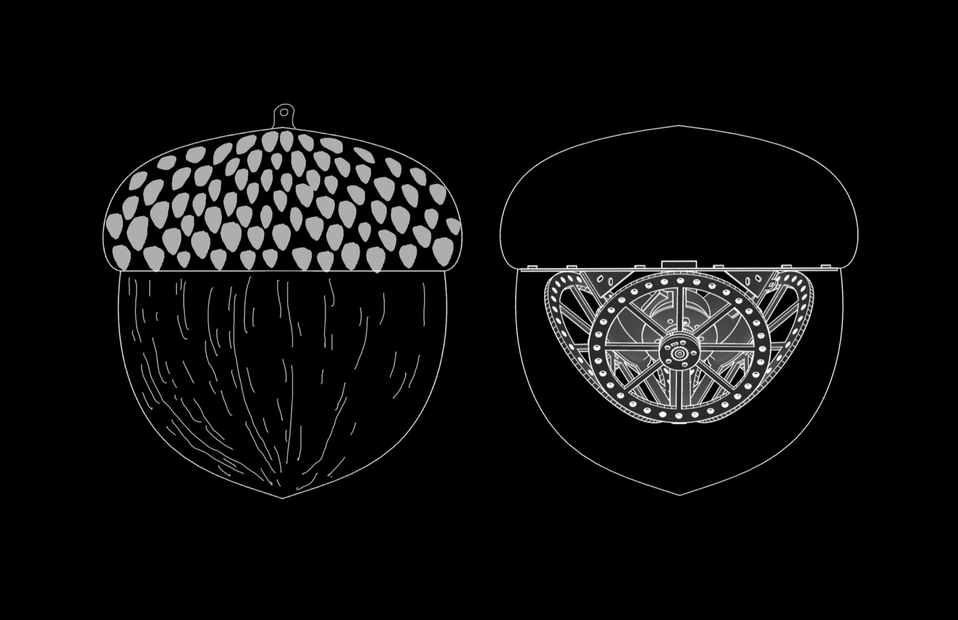 SEED
